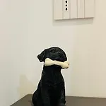 Ginny - San Siro